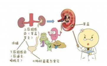 青岛供卵试管机构排名及助孕指南